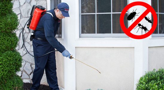 Ağın Bit İlaçlama böcek ilaçlama ve haşere kontrolü — ilaclama-tr.com